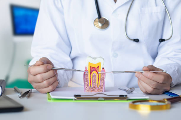 Best Cracked Tooth Emergency Dentist  in Gila Bend, AZ